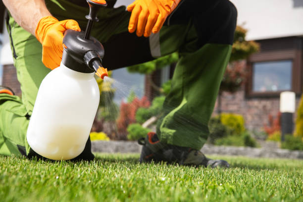 Best Termite Control Services  in Berlin, OH