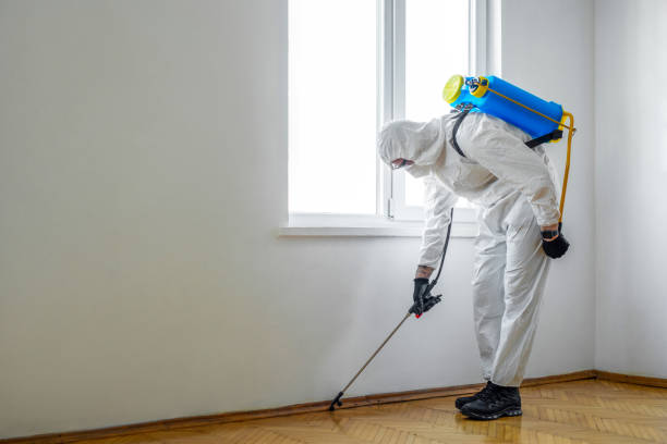 Best Mosquito Control Services  in Berlin, OH