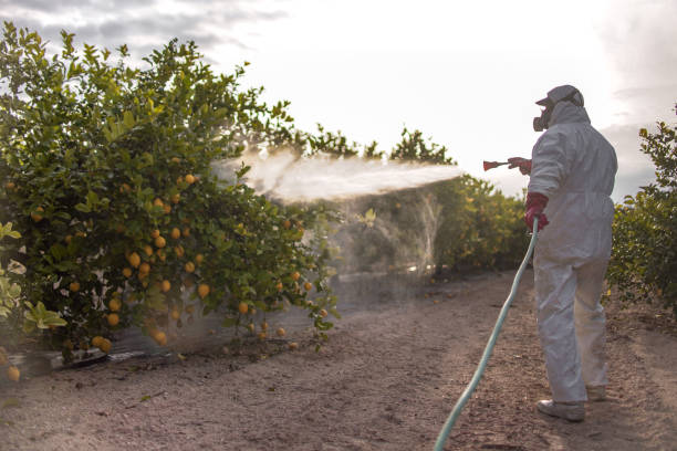 Best Mosquito Control Services  in Berlin, OH