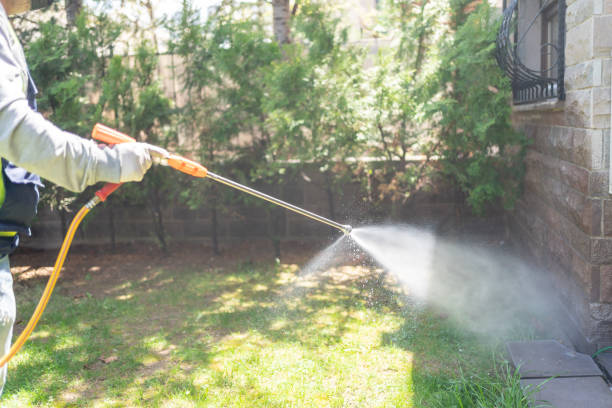 Best Wasp Removal Services  in Berlin, OH