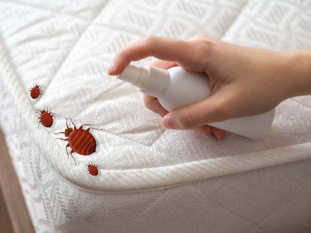 Best Insect Control  in Berlin, OH