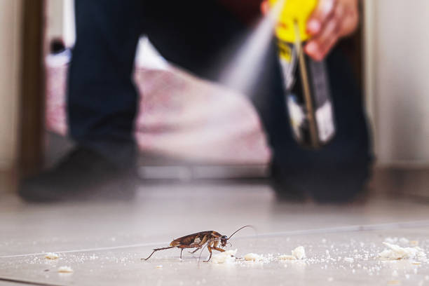 Best Pest Removal Services  in Berlin, OH